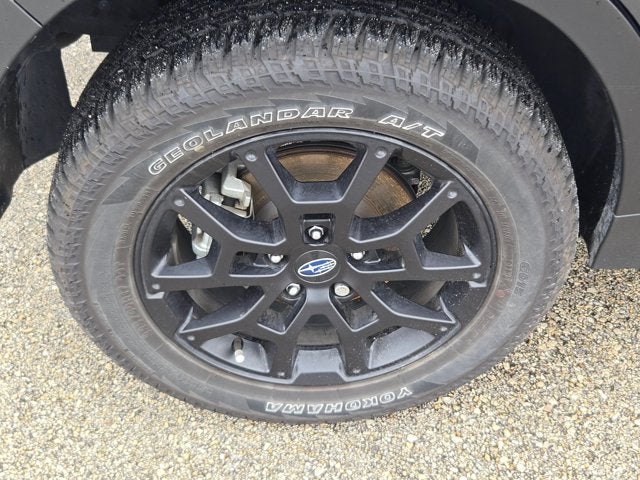 2025 Subaru Crosstrek Wilderness