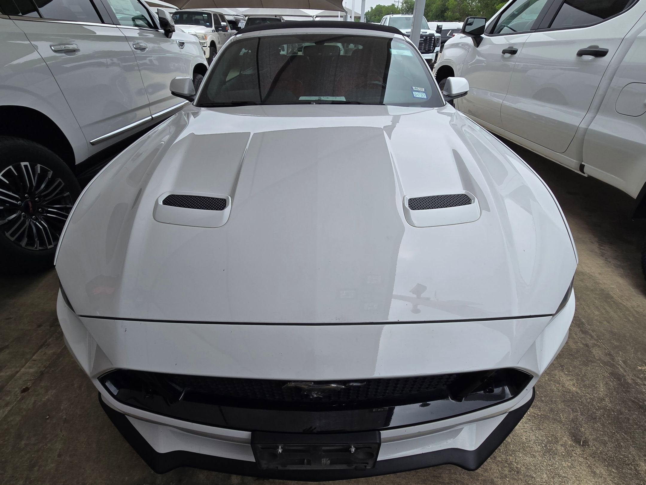 2019 Ford Mustang GT Premium