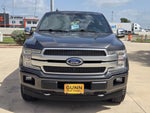 2019 Ford F-150 PLATINUM ECOBOOST