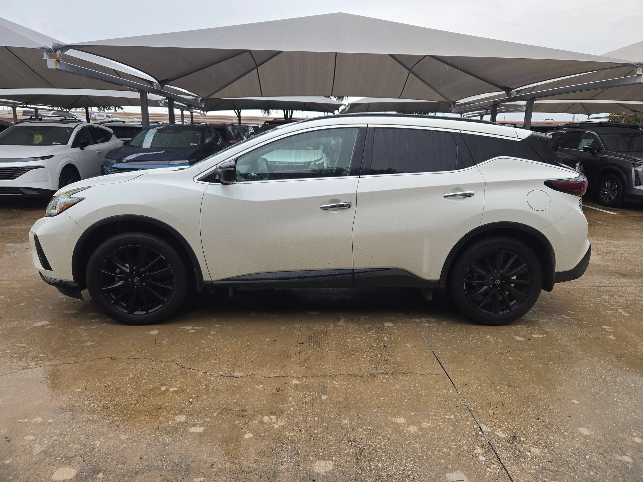 2024 Nissan Murano SV