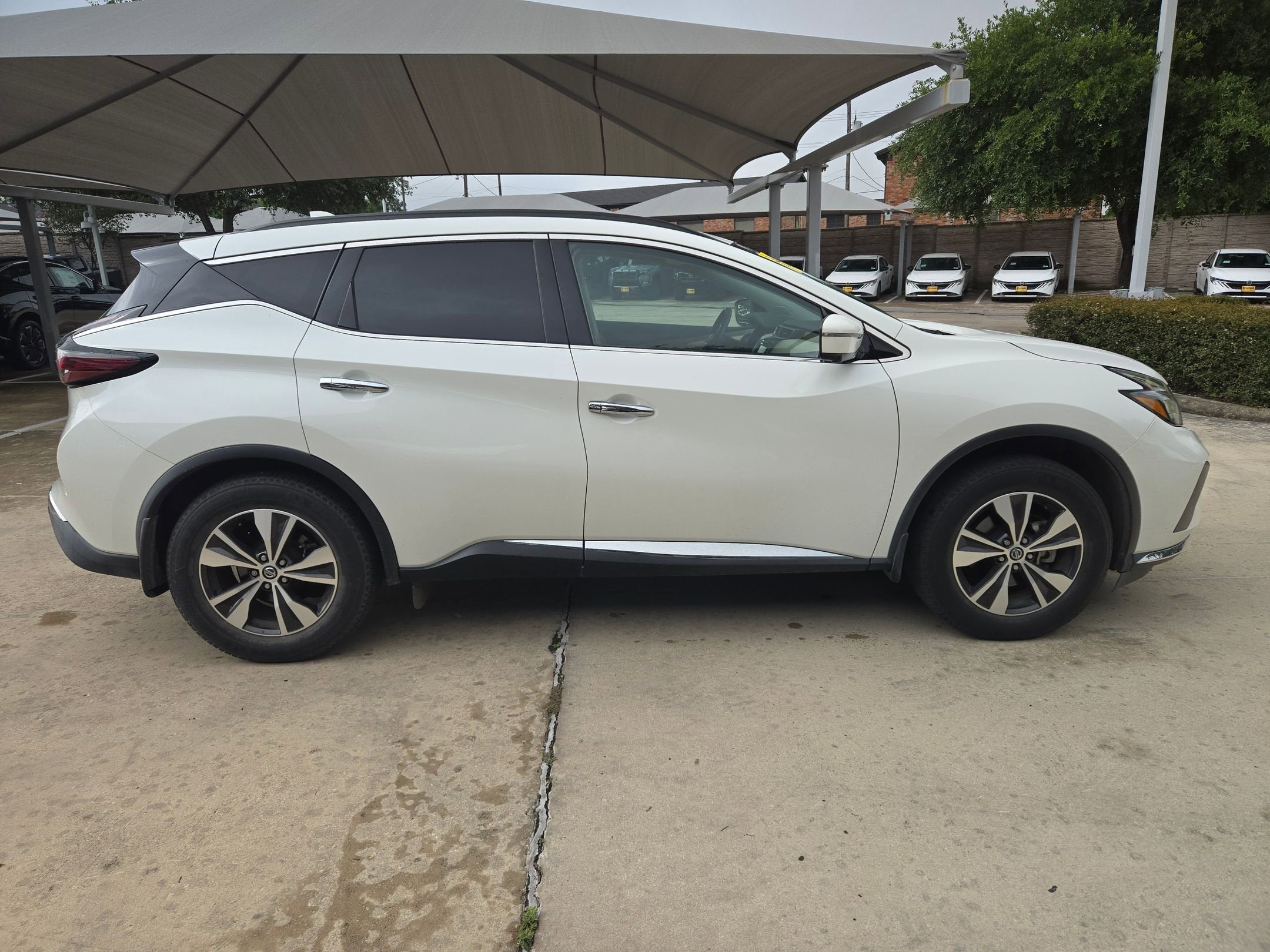 2019 Nissan Murano SV