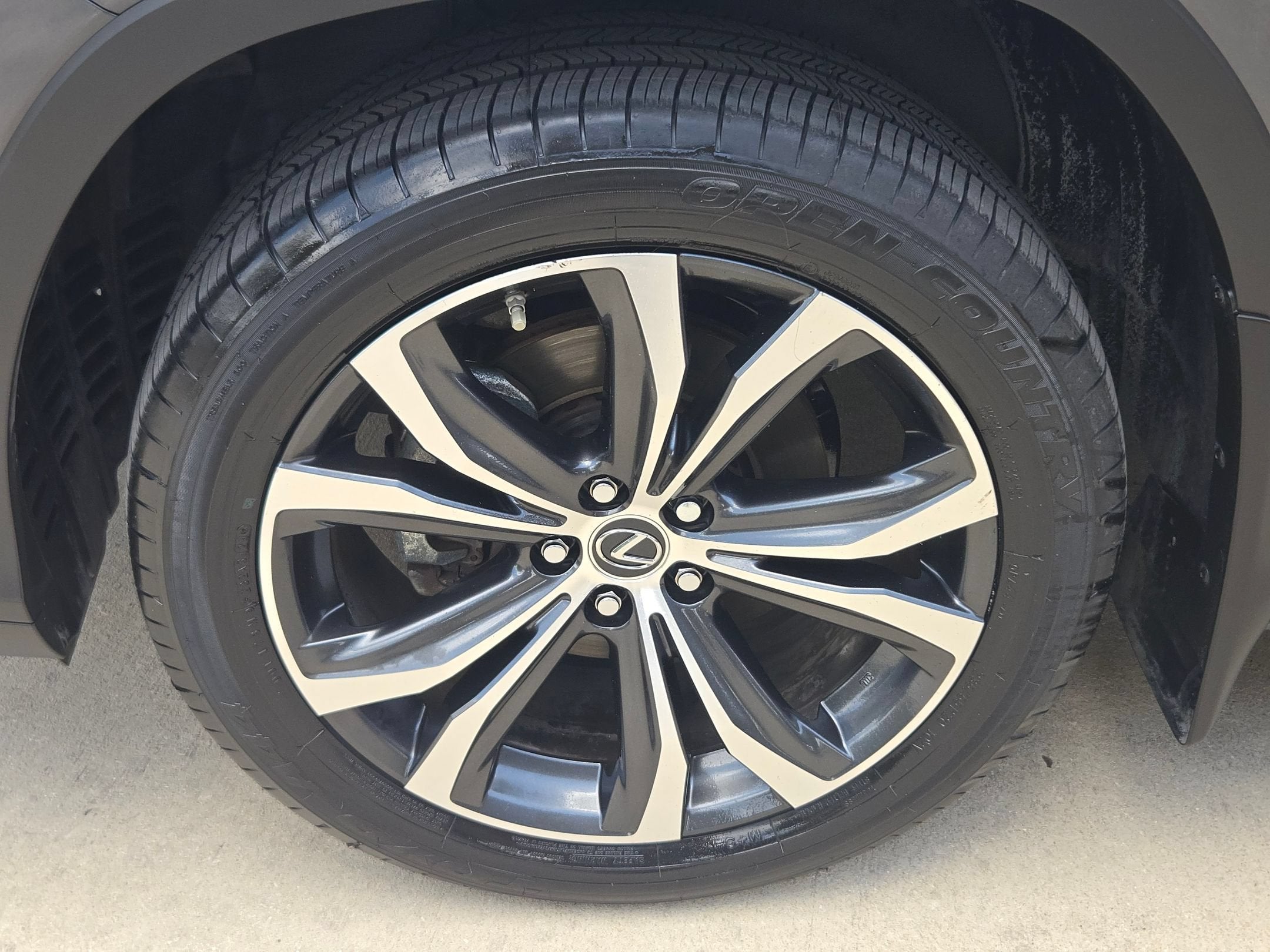 2022 Lexus RX RX 350L
